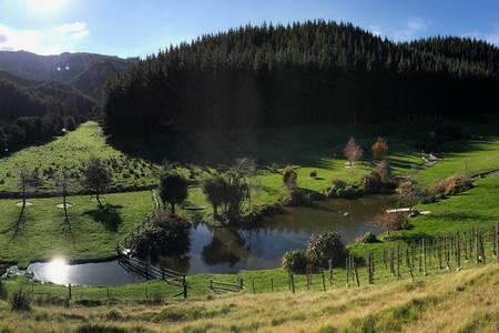 Апартаменти Castello Di Vino Бленгейм Екстер'єр фото